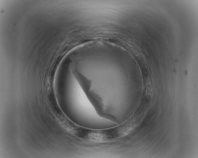 X0000087540699200704271232