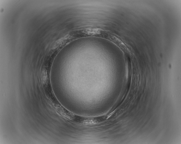 X0000087540704200704271232