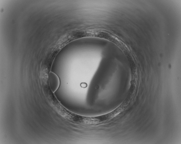 X0000087540707200704271232