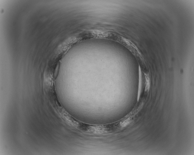 X0000087540713200704271232