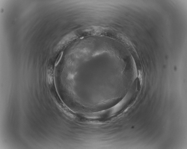 X0000087540719200704271232