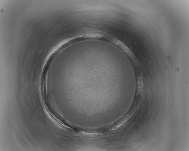 X0000087540726200704271231