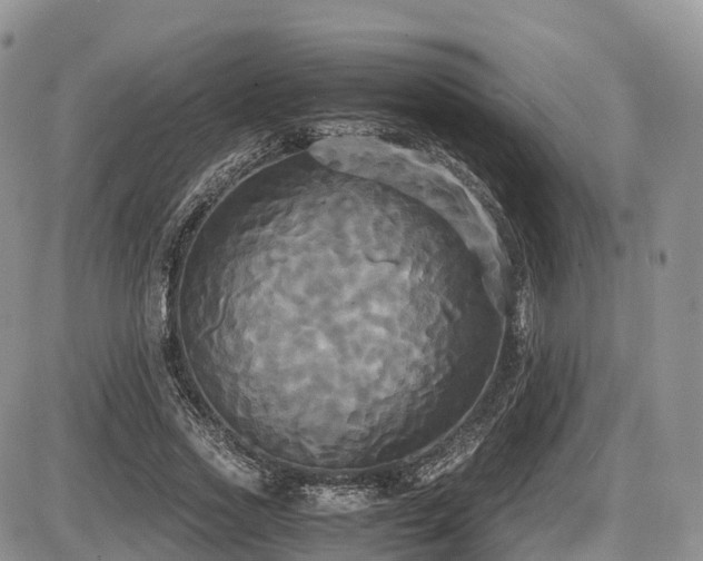 X0000087540733200704271231