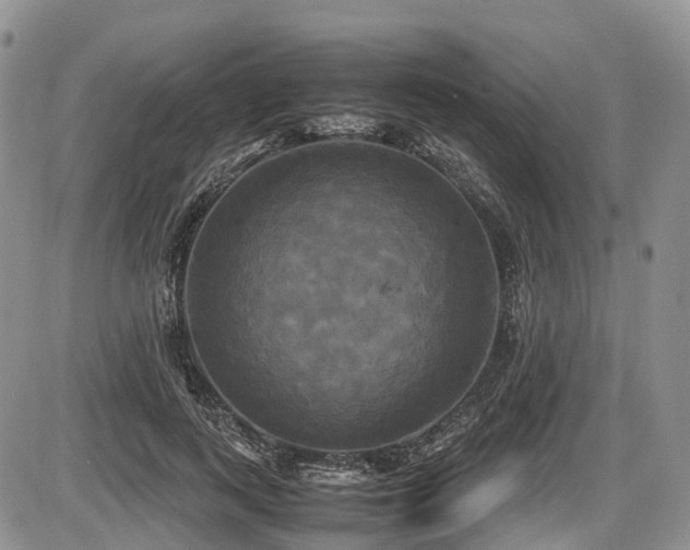 X0000087540743200704271231