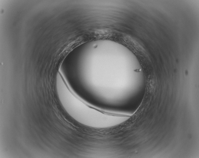 X0000087540756200704271232