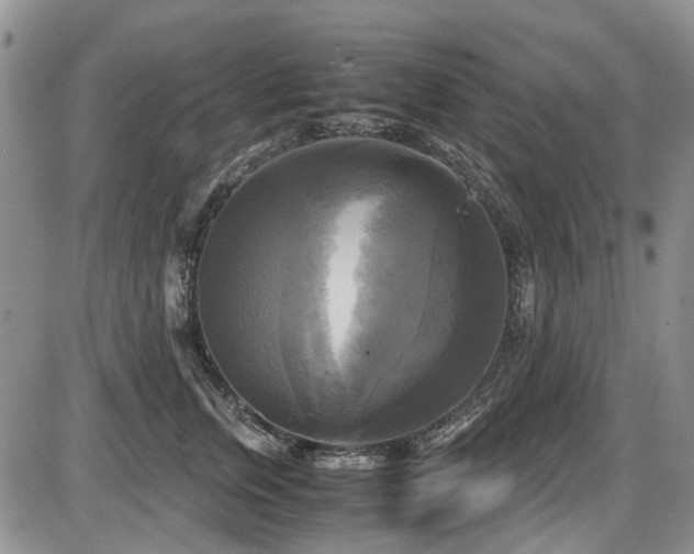 X0000087540759200704271232