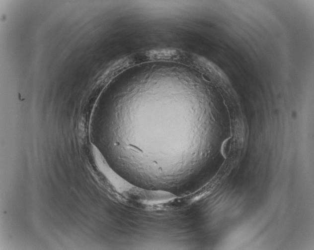 X0000087540761200704271232