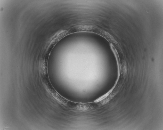 X0000087540764200704271232
