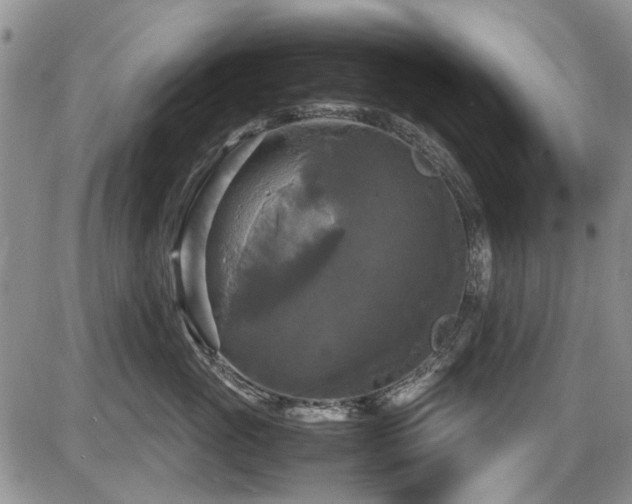 X0000087540765200704271232