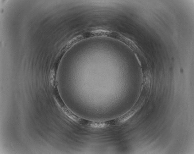 X0000087540767200704271232