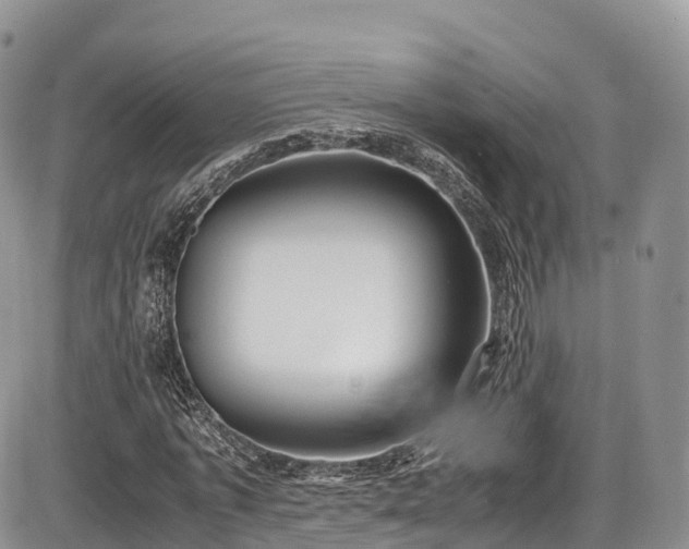 X0000087540773200704271231
