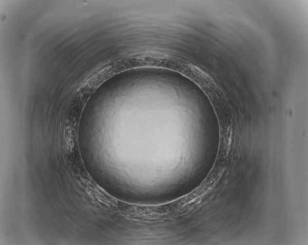 X0000087540774200704271231