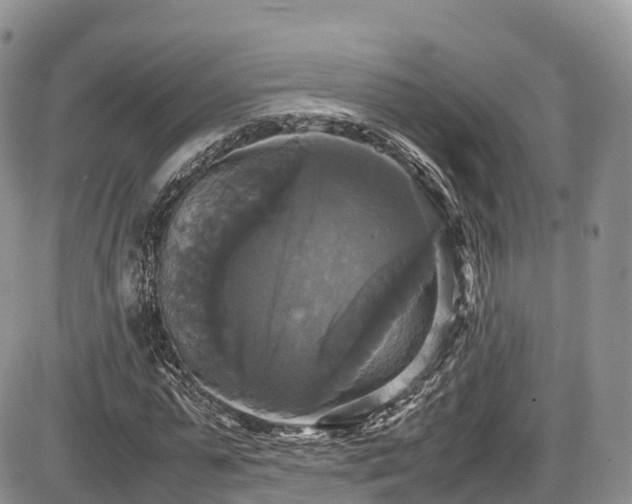 X0000087540775200704271231