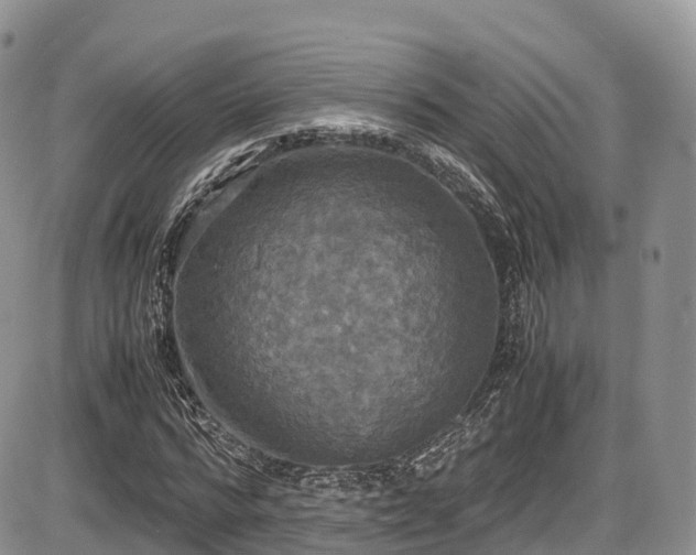 X0000087540776200704271231