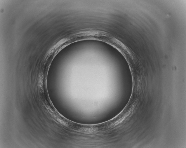 X0000087540778200704271231