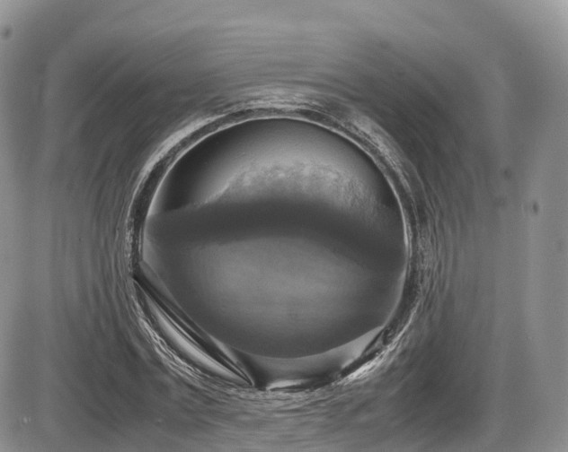 X0000087540779200704271231