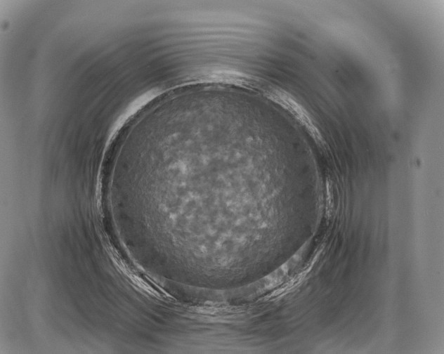 X0000087540780200704271231