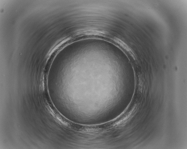 X0000087540782200704271231
