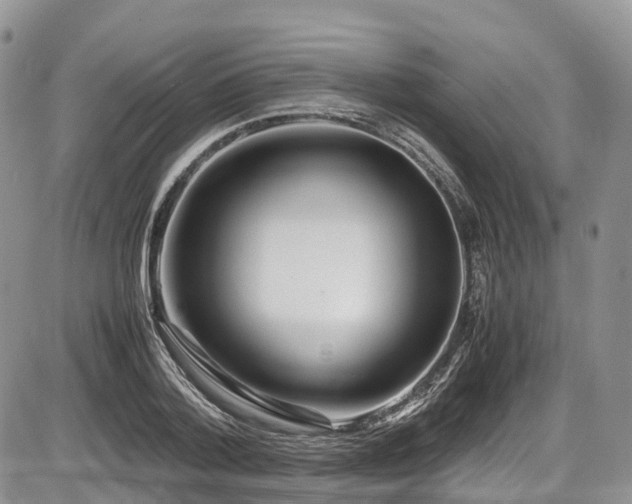 X0000087540788200704271231