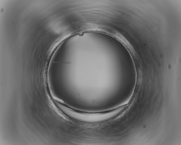 X0000087540806200704271230