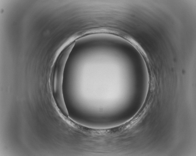 X0000087540813200704271230