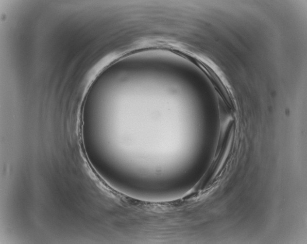 X0000087540815200704271230