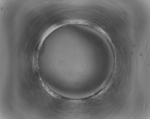 X0000087540816200704271230