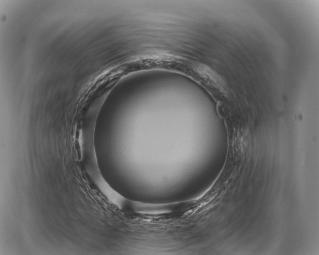 X0000087540822200704271230