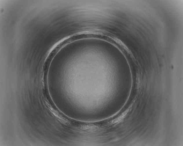 X0000087540830200704271230