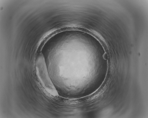 X0000087540831200704271230