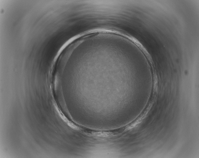 X0000087540862200704271230