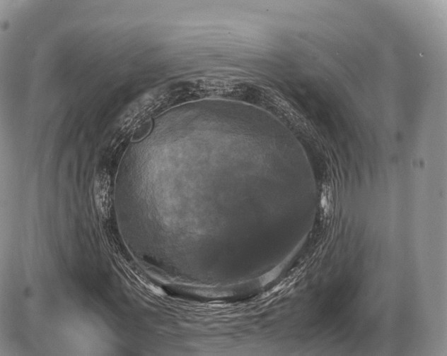 X0000087540867200704271229