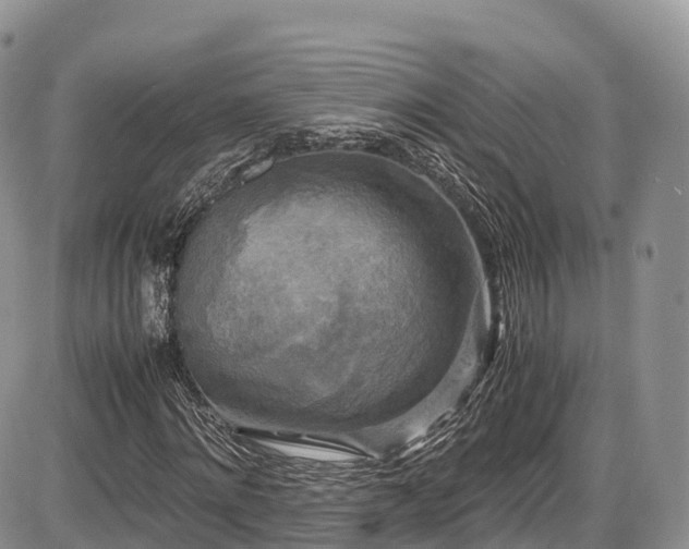 X0000087540868200704271229