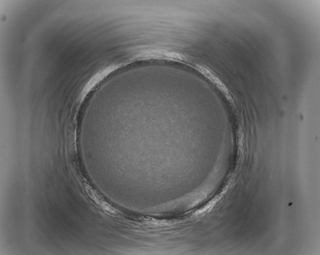 X0000087540877200704271229