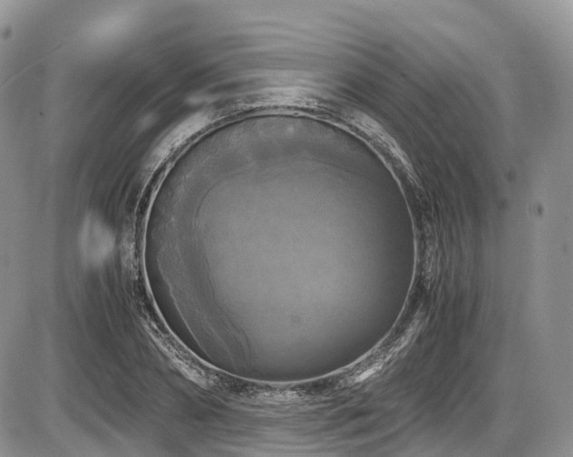 X0000087540882200704271229