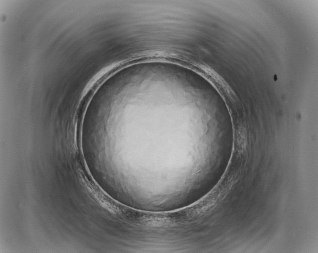 X0000087540886200704271229