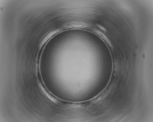 X0000087540890200704271229