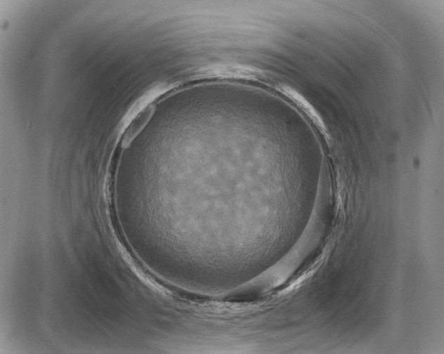 X0000087540893200704271229