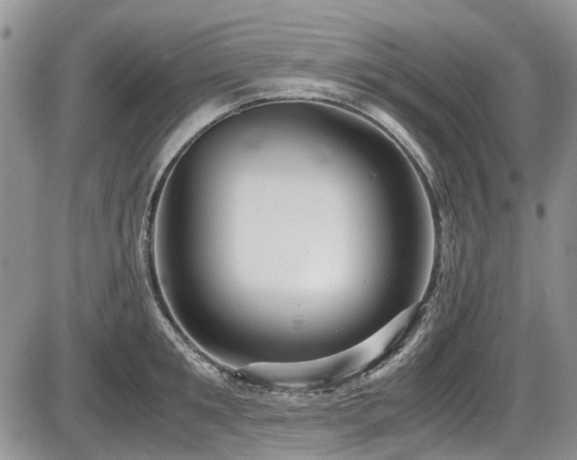 X0000087540901200704271229