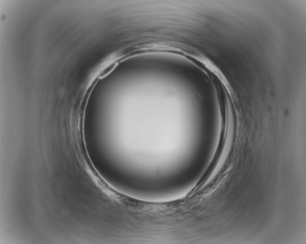X0000087540909200704271229