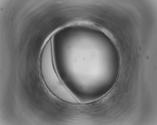 X0000087540912200704271229