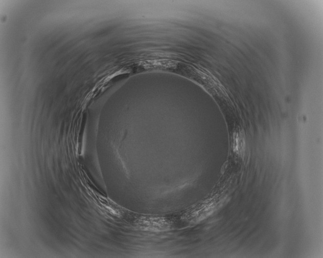 X0000087540915200704271228