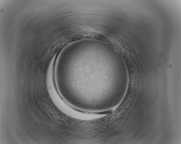 X0000087540916200704271228