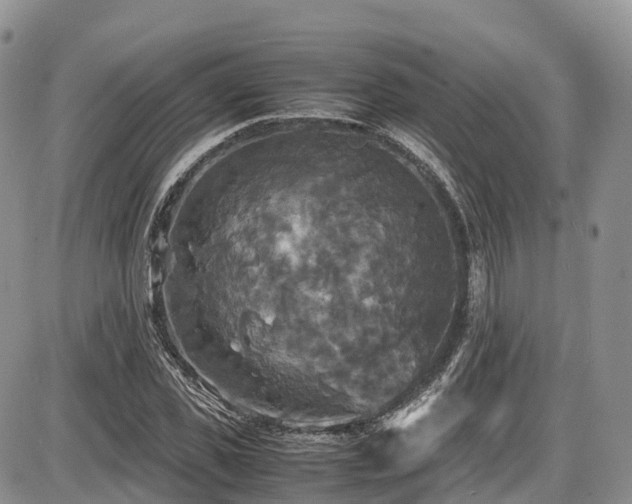 X0000087540925200704271228