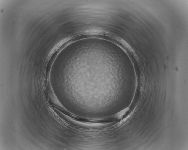 X0000087540930200704271228