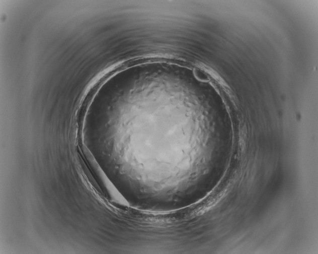 X0000087540933200704271228