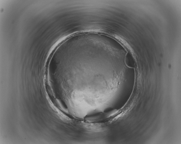 X0000087540941200704271228