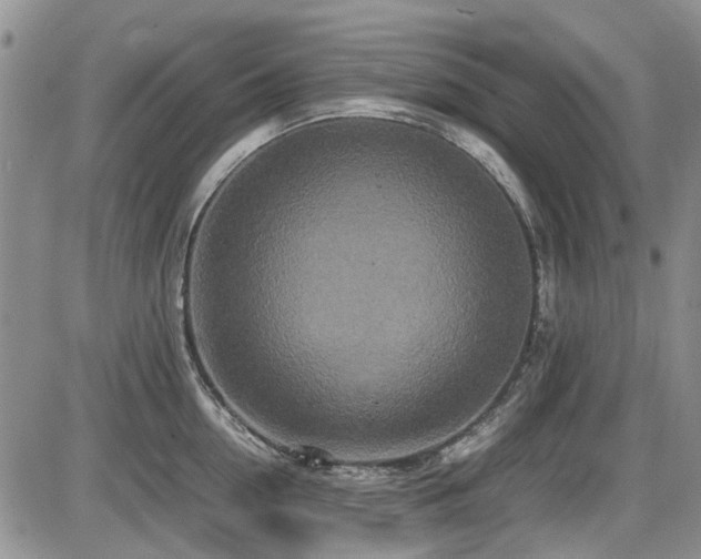 X0000087540954200704271229