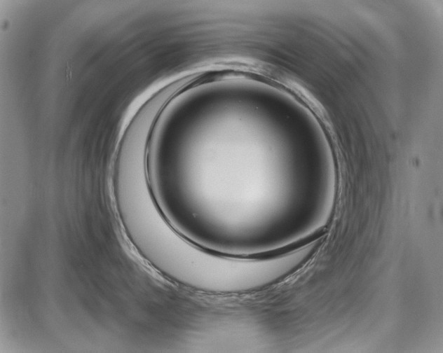 X0000087540960200704271229