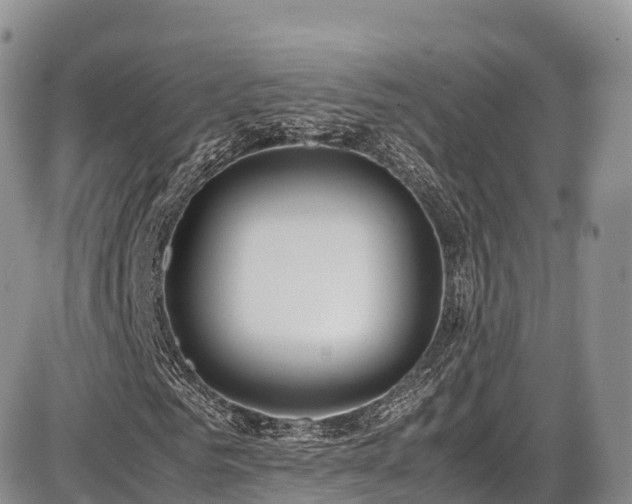 X0000087540961200704271228
